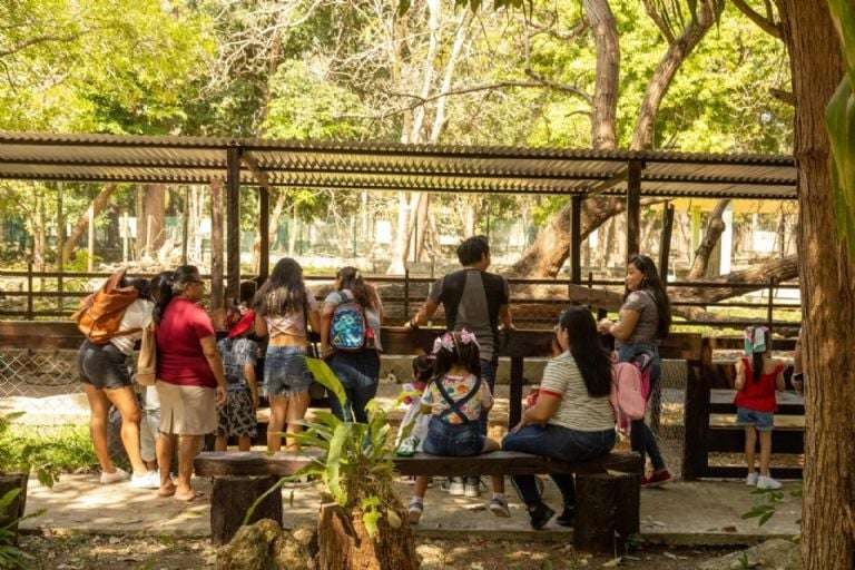 Zoológico de Chetumal